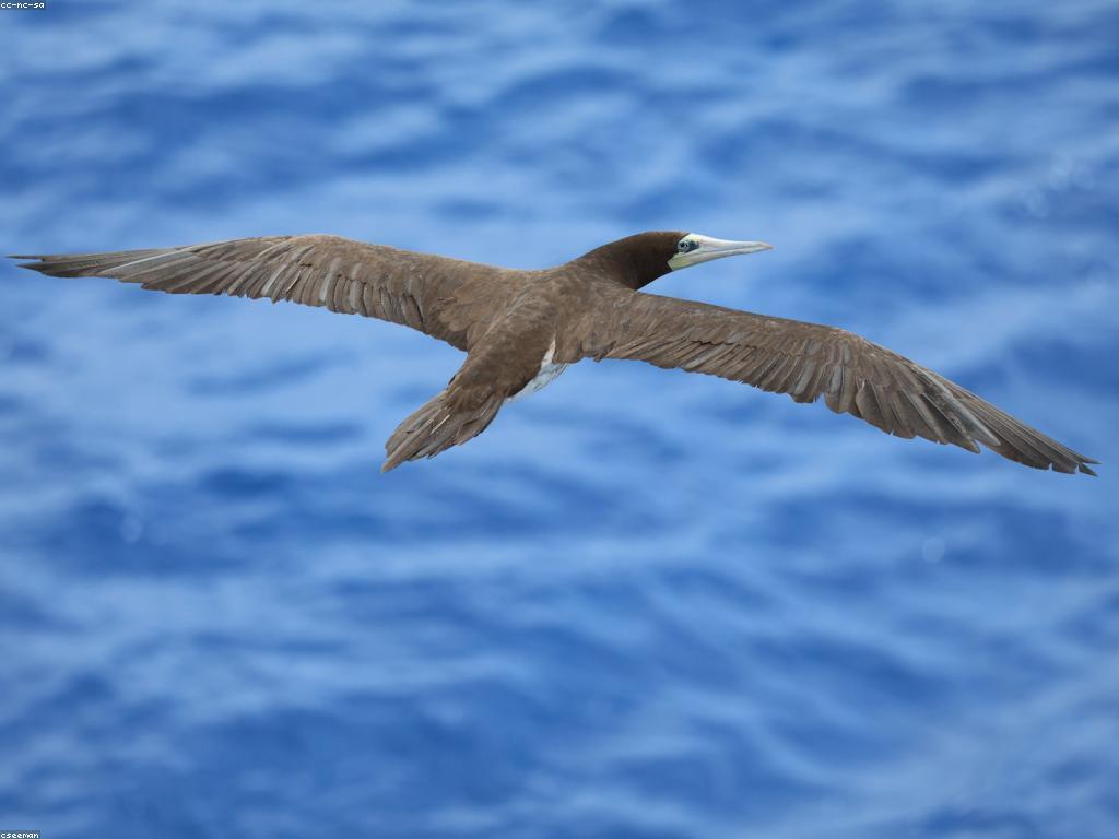 វិធីសាស្ត្រស្ទូឌីយោបាញ់ត្រីសម្រាប់អ្នកដំបូង