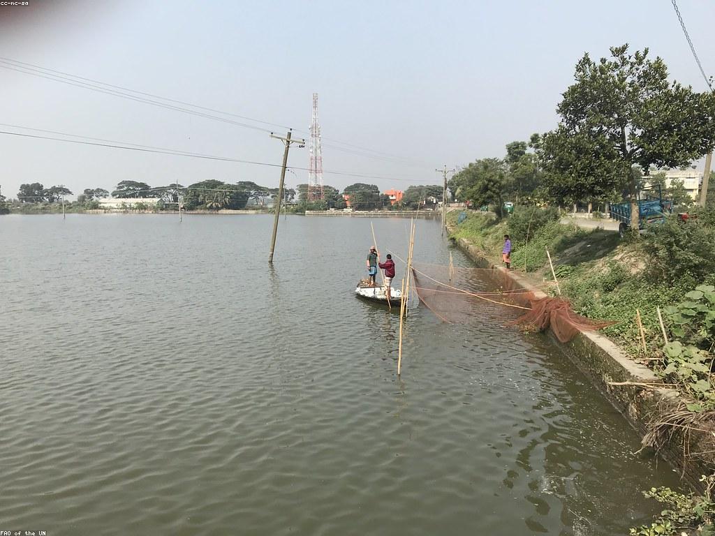 បច្ចេកទេសថ្មីៗសម្រាប់ស្ទូឌីយោបាញ់ត្រី