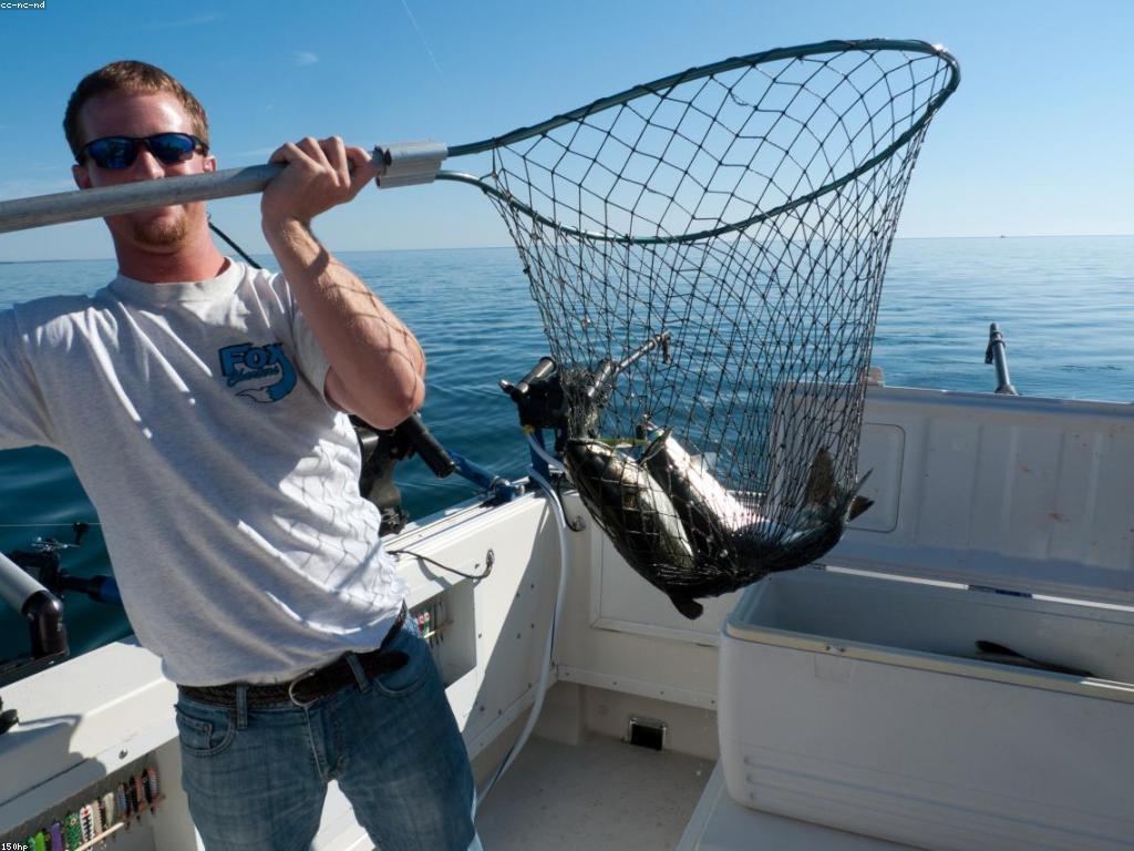 គន្លឹះសំរាប់ការបាញ់ត្រីដ៏ជោគជ័យ