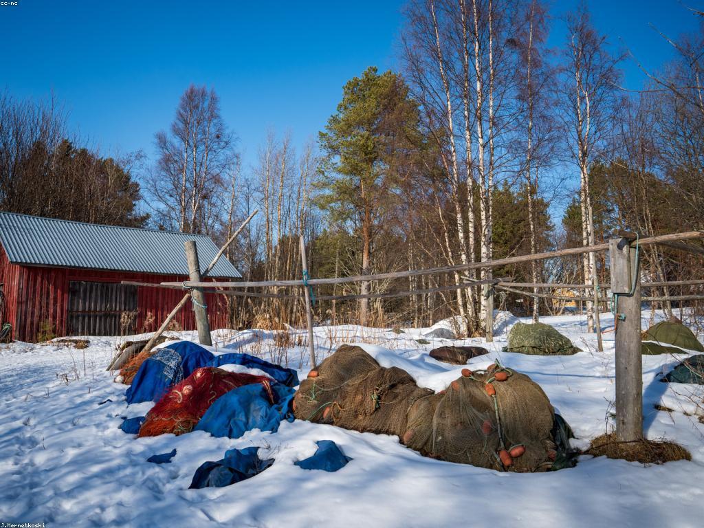 គន្លឹះសម្រាប់ស្ទូឌីយោបាញ់ត្រី