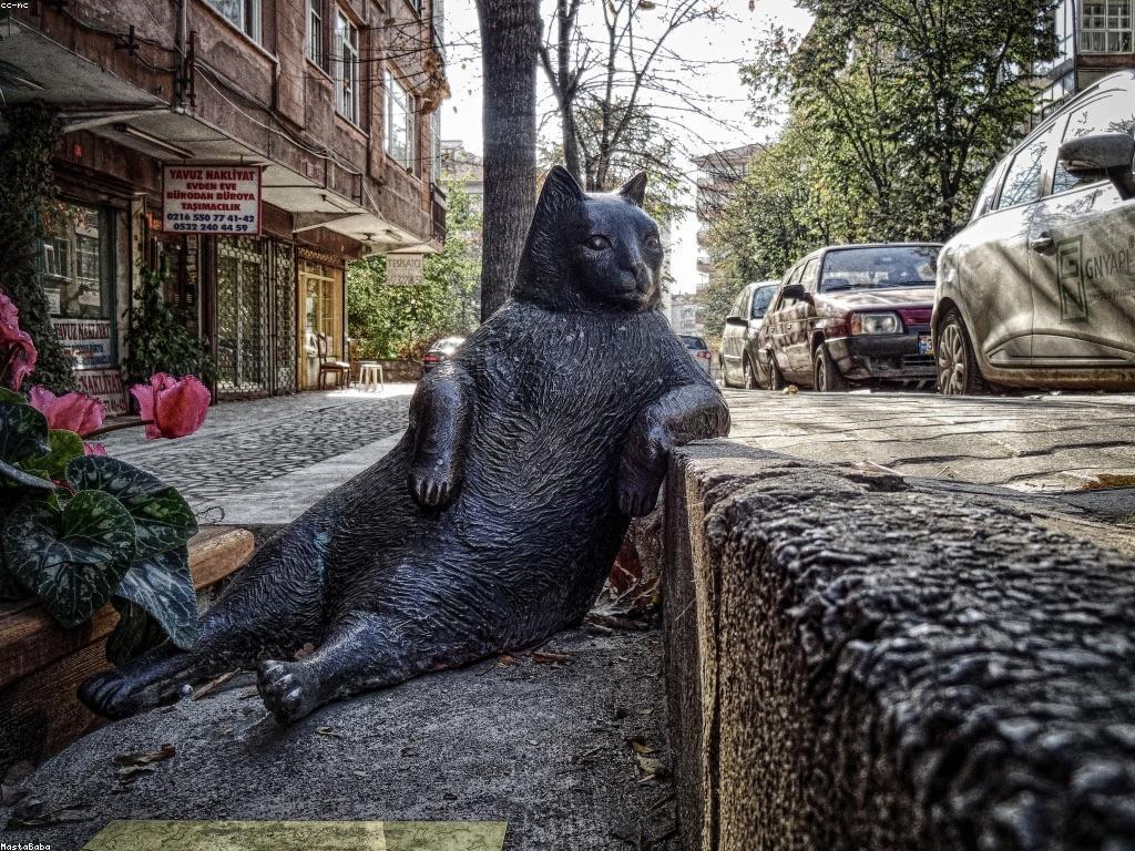 គន្លឹះសម្រាប់ស្ទូឌីយោបាញ់ត្រី