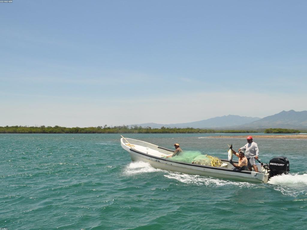 បច្ចេកទេសដ៏មានប្រសិទ្ធភាពសម្រាប់ការបាញ់ត្រី